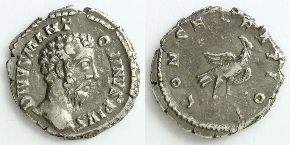 214688_01.jpg