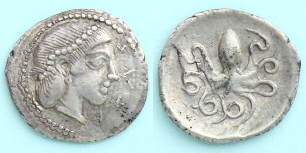 アレトゥーサ/蛸