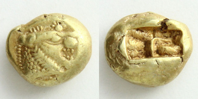 213629_01.jpg