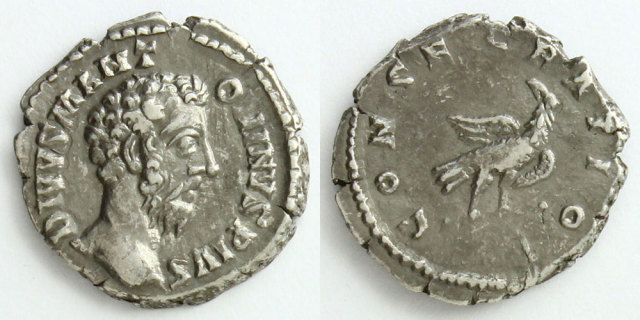 214688_01.jpg