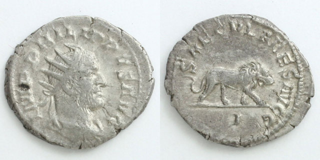 238523_01.jpg