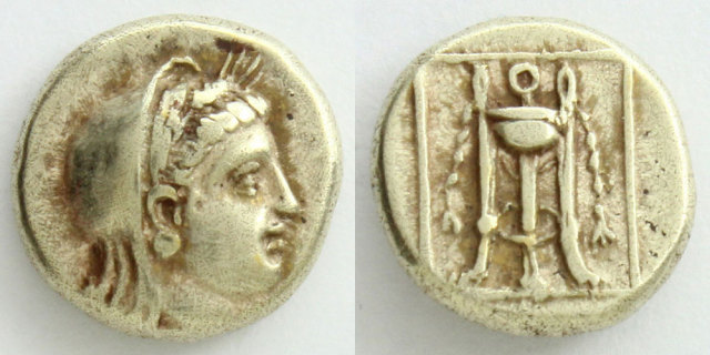 238981_01.jpg