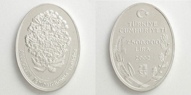 トルコ 2002 7,500,000リラ銀貨 チハチェウィア