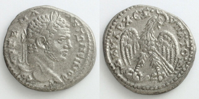 272473_01.jpg