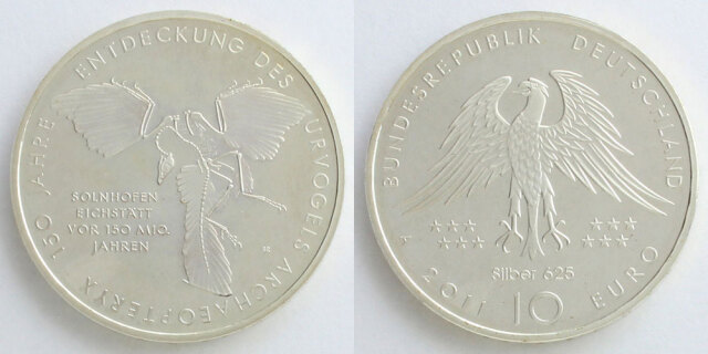 295700_01.jpg