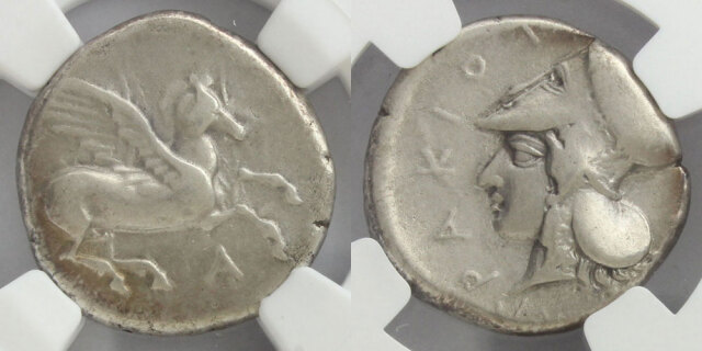 296295_01.jpg