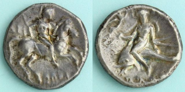 騎馬兵士/イルカに乗るタラス