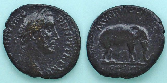 アントニヌス・ピウス帝/象