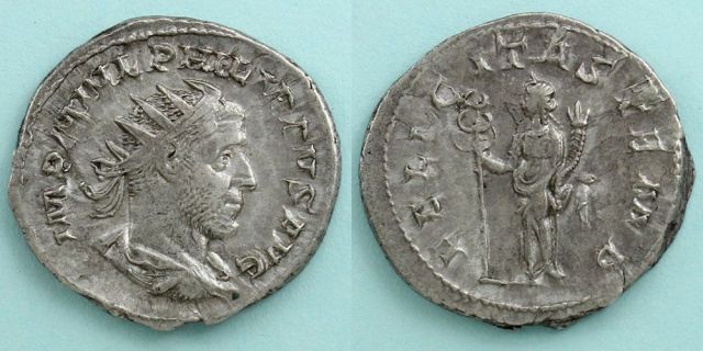 690432_01.jpg