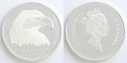 294239_01.jpg