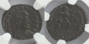 295458_01.jpg