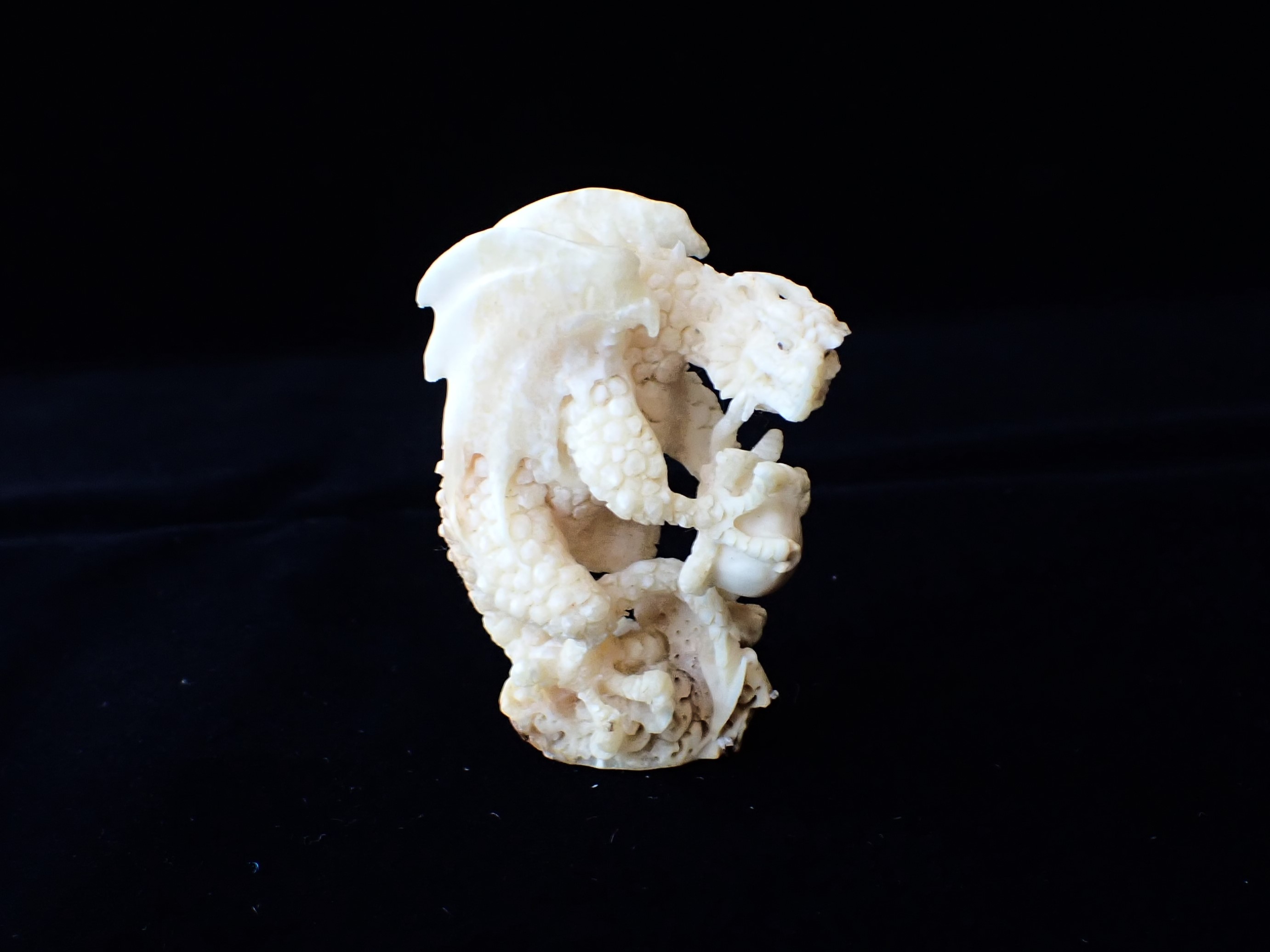 マンモスアイボリードラゴン