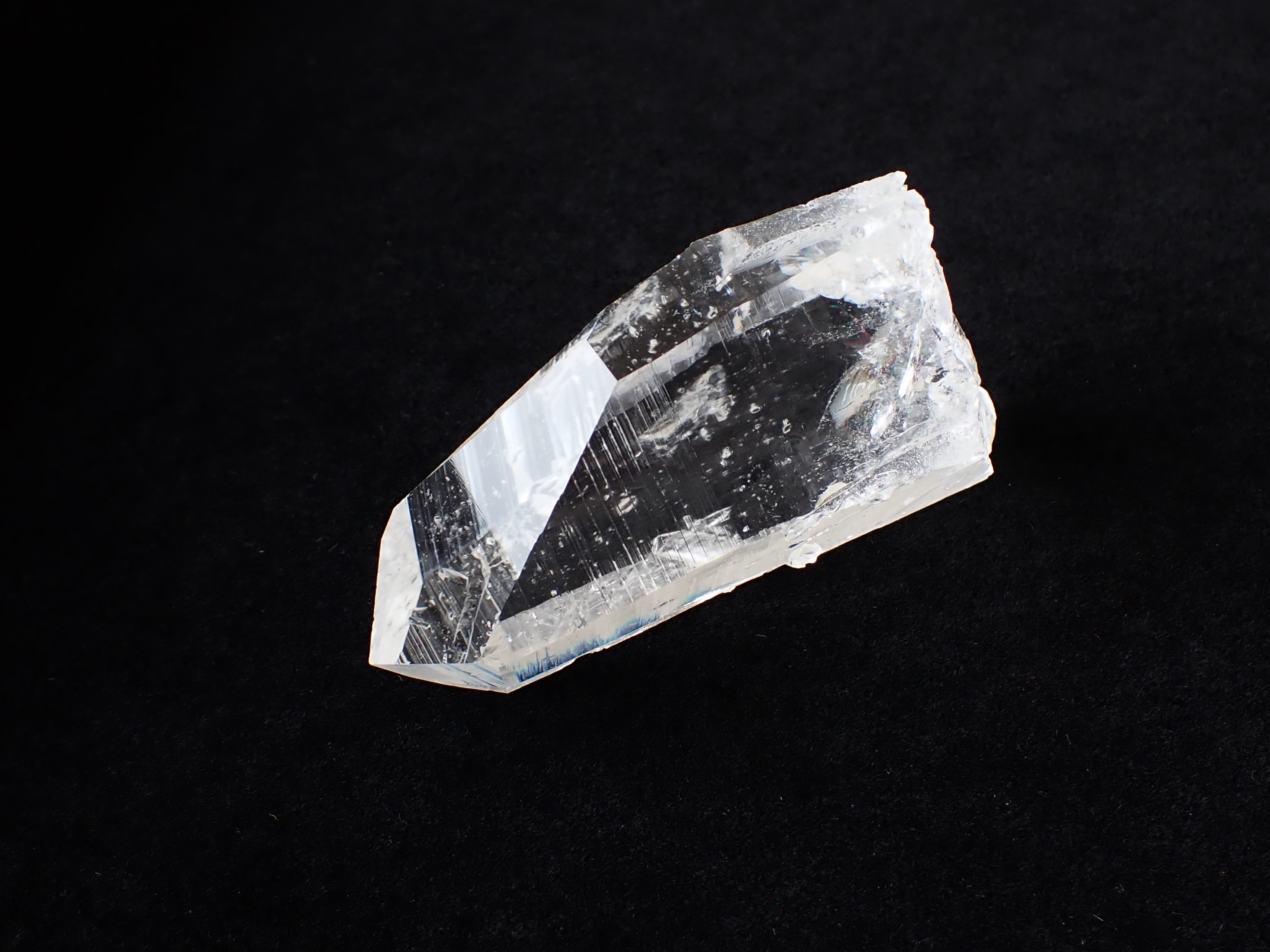 コロンビアレムリアン