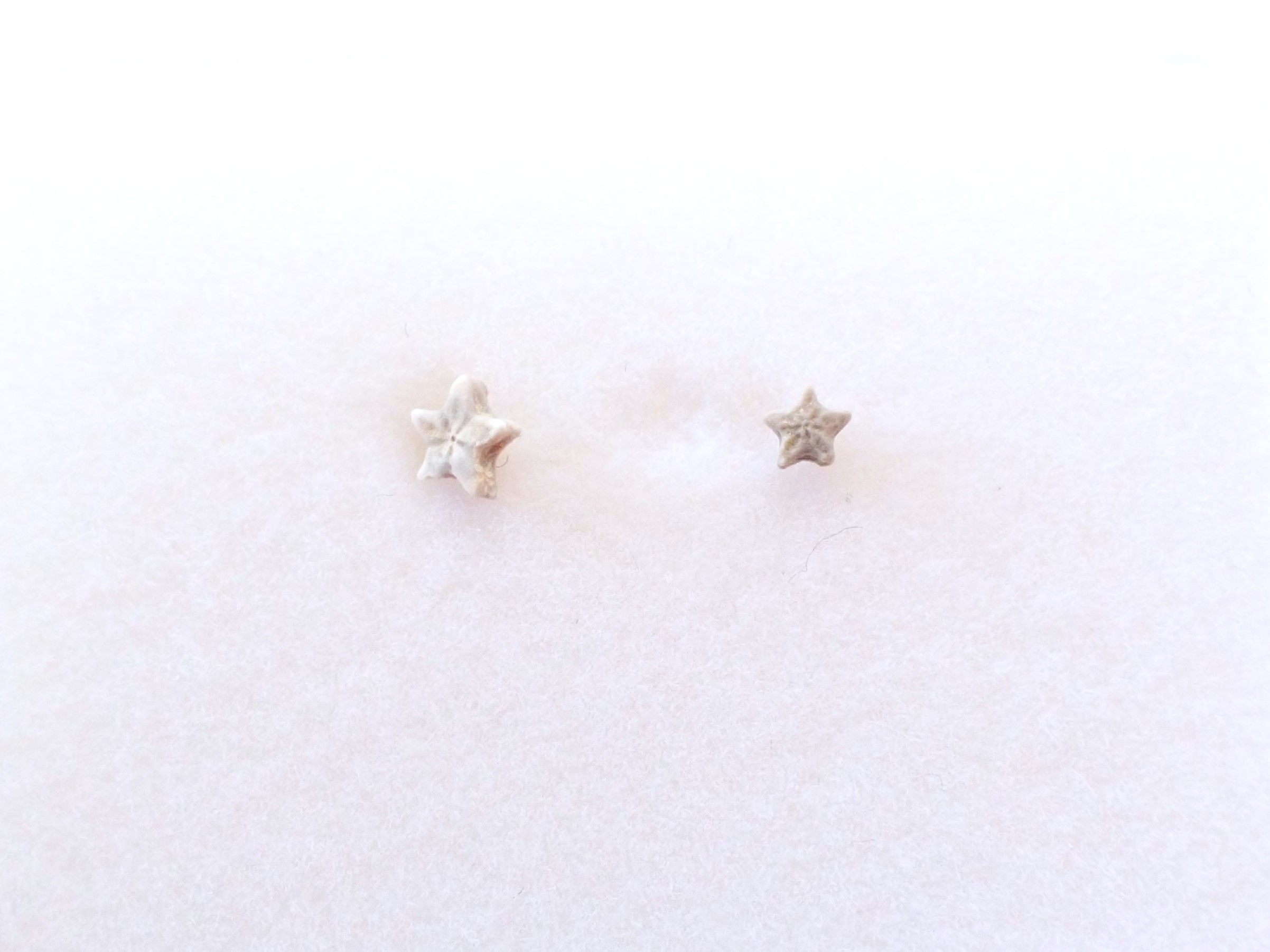 ペトリファイドクリノイド