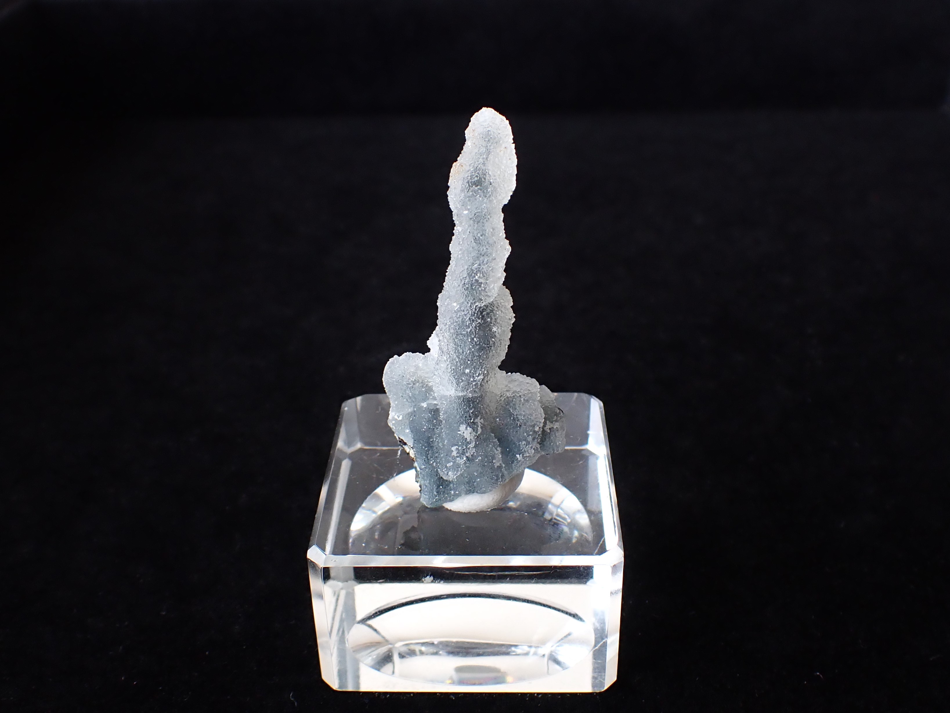 シュガーカルセドニー