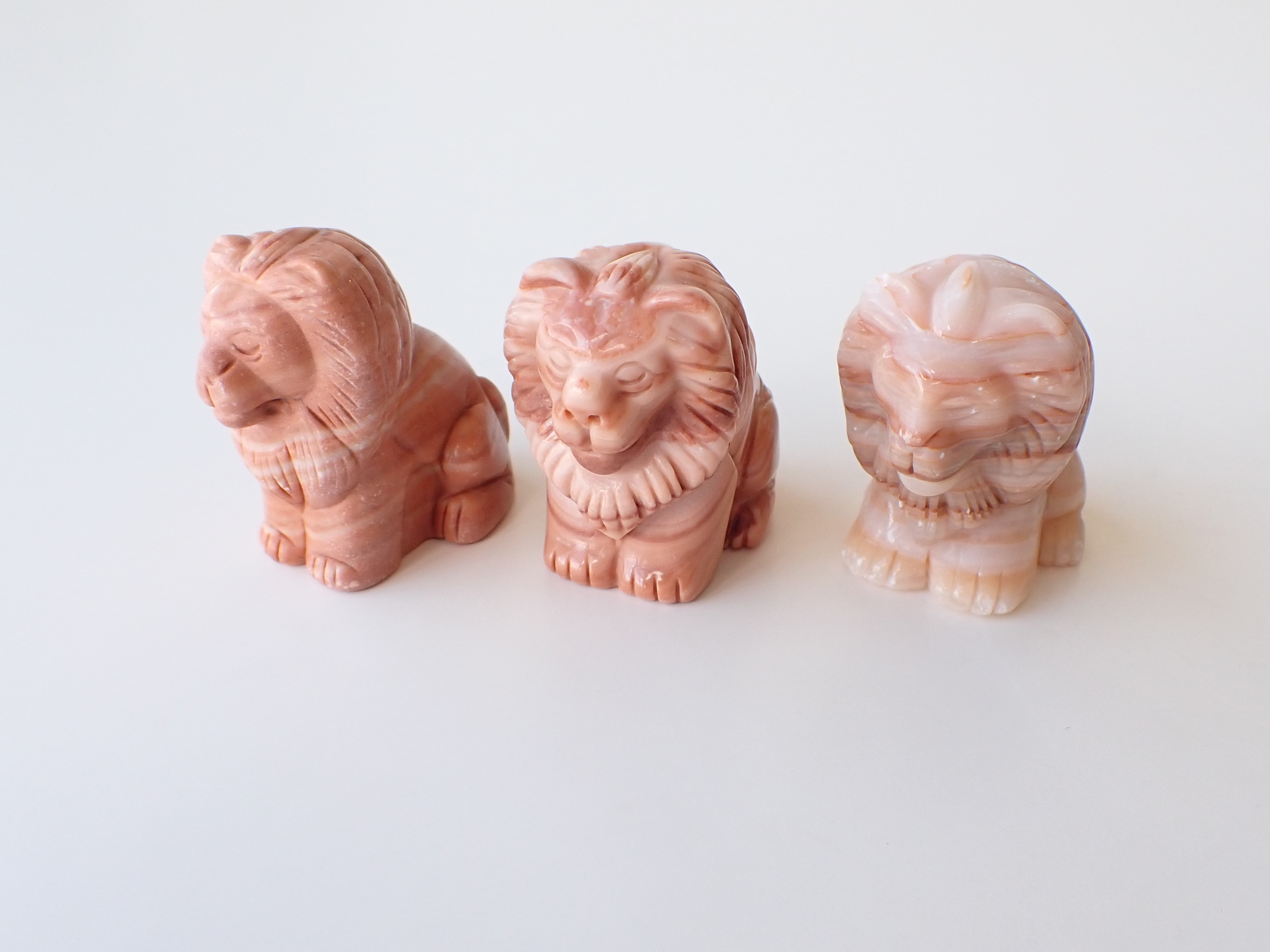 AB3109　ライオン／マッドストーン