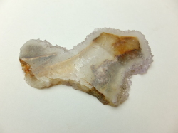 ブッケンハートジャスパー　スラブ