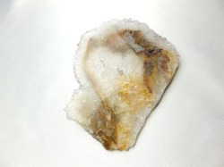 ブッケンハートジャスパー　スラブ