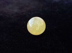 ゴールデンダンビュライト