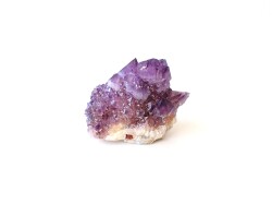 カクタスアメジスト