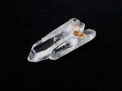 コロンビアレムリアン