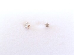 ペトリファイドクリノイド