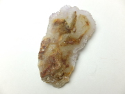 ブッケンハートジャスパー　スラブ