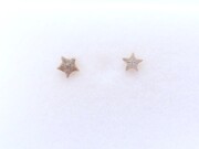 ペトリファイドクリノイド