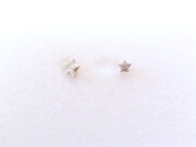 ペトリファイドクリノイド