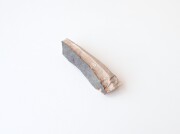 ナイルフリント