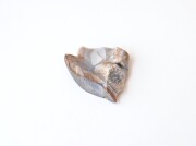 ナイルフリント