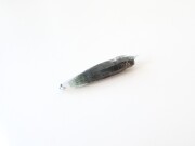 ガネーシュヒマール産水晶