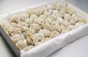 デザートローズ