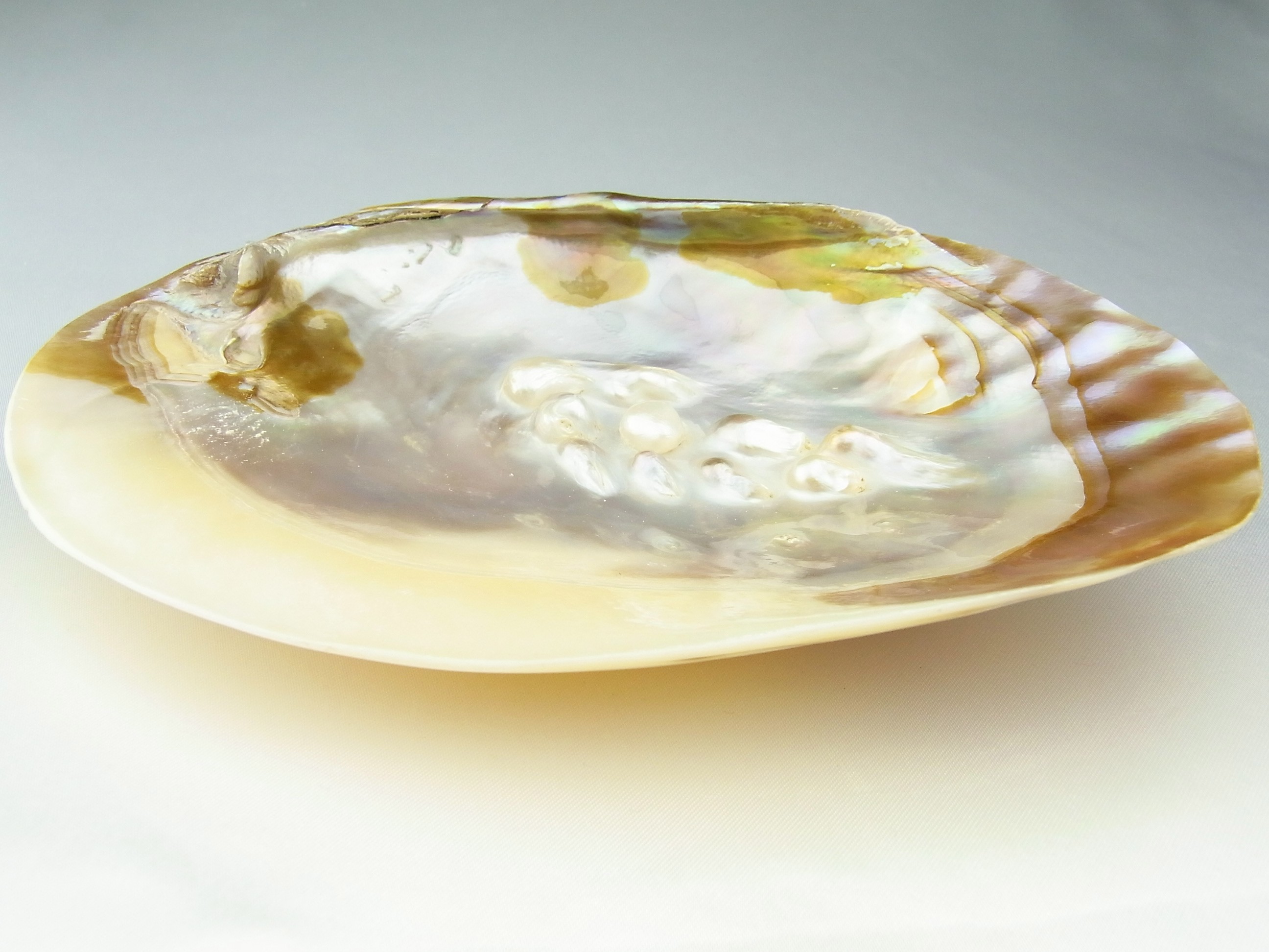 ZI0001　【再入荷】　☆人気商品☆　パールシェル香皿　【さざれ用のお皿としてもおすすめ】