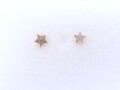 ペトリファイドクリノイド