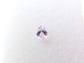 TK0188　ピンクタンザナイト　ルース　０．４０８ｃｔ　☆ソーティング付き☆　