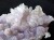 フラワーアメジスト