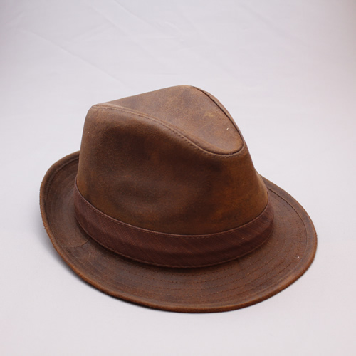 【0263】CASTANO/FEDRA/ハット