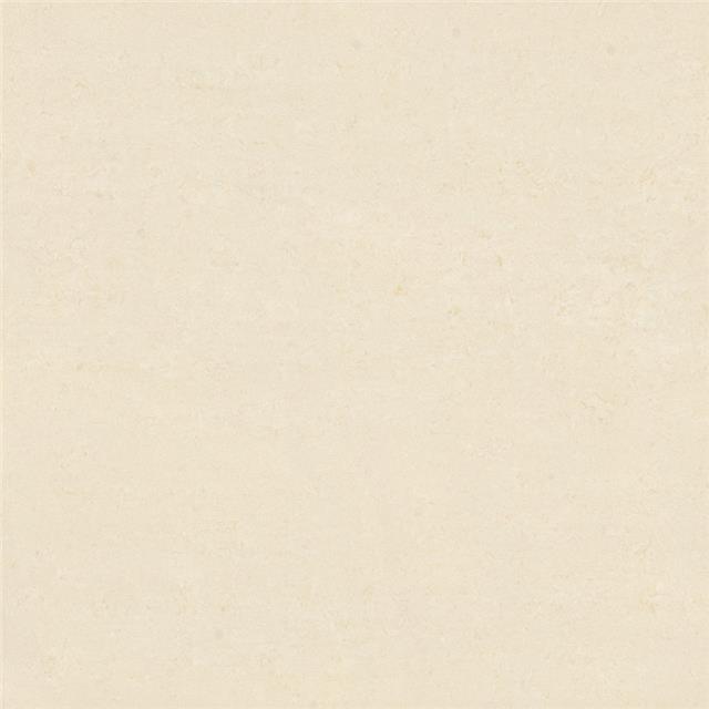 ノブルヌーク ／ CTC-X2520PHP