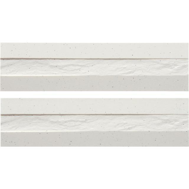 アウストル ／ AUS-100HP