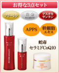 新３点セット