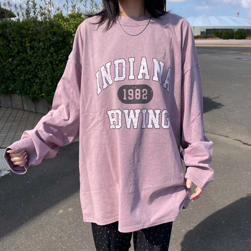 ピグメントロゴロンT