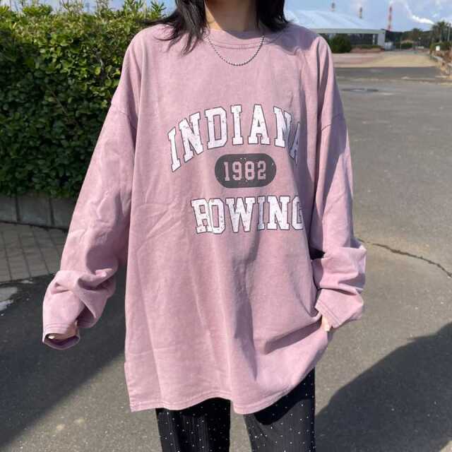 ピグメントロゴロンT