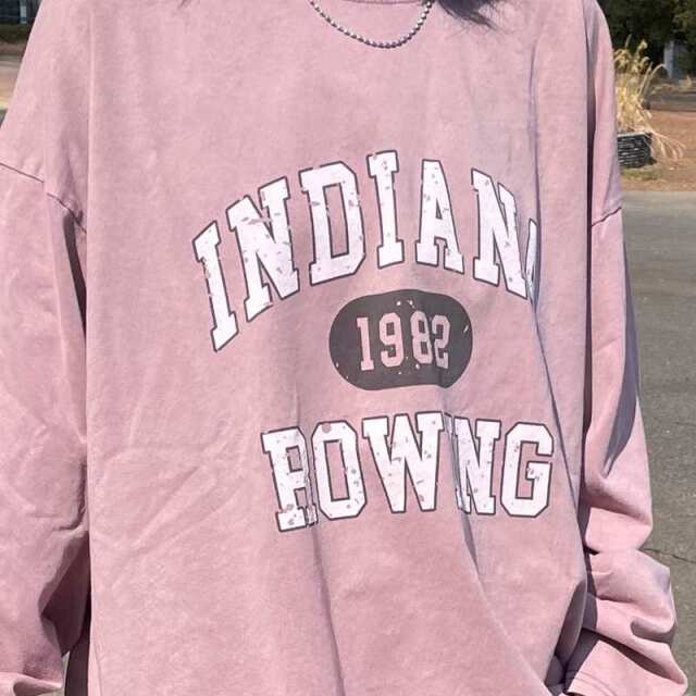 ピグメントロゴロンT