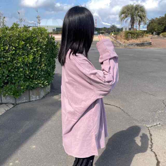 ピグメントロゴロンT