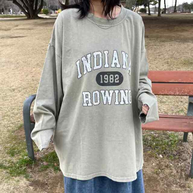 ピグメントロゴロンT