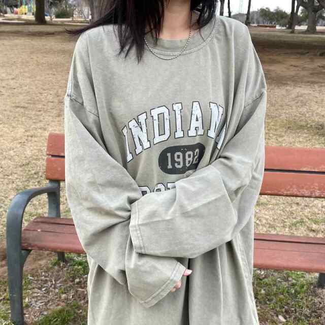 ピグメントロゴロンT
