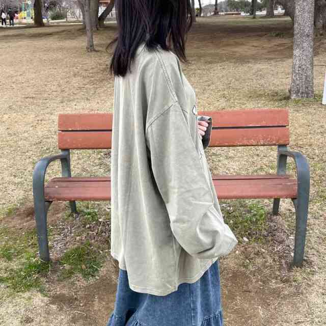 ピグメントロゴロンT