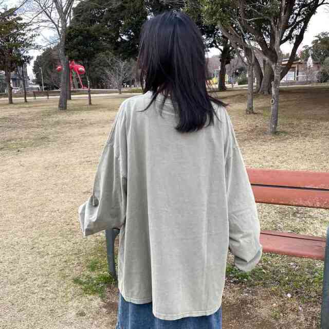ピグメントロゴロンT