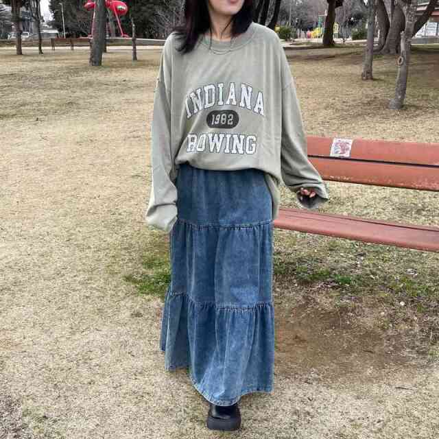 ピグメントロゴロンT